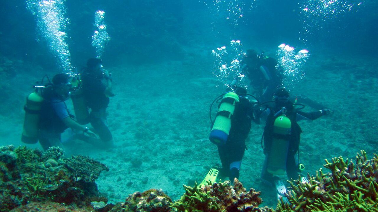 Buceadores sobre un arrecife de coral en Aruba