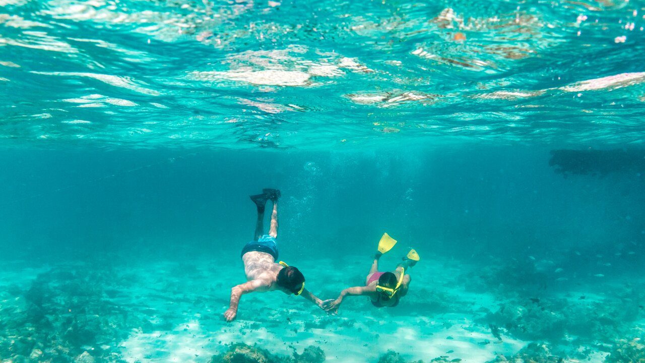 Snorkel sobre el arrecife en Aruba