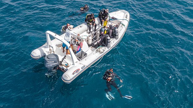 Buceadores junto a una lancha en la Isla de Sal
