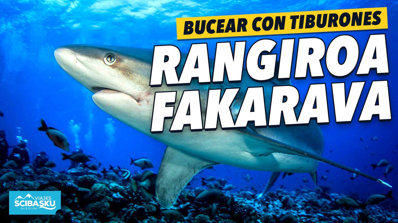 Miniatura del vídeo Bucear en Rangiroa y Fakarava, con un tiburón en primer plano
